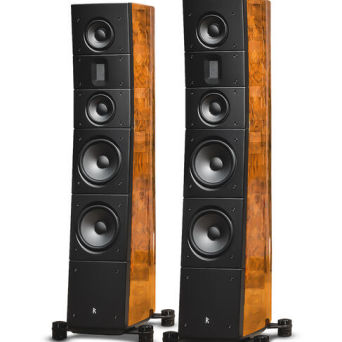 Raidho Acoustics TD 3.8 Walnut Burl - autoryzowany dealer
